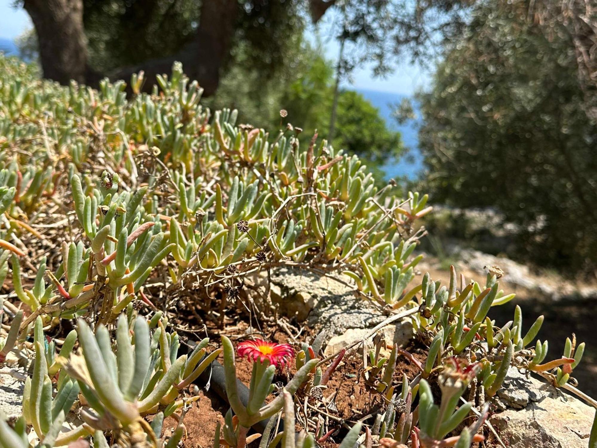 Villetta Dagre Fronte Mare ماريتيما المظهر الخارجي الصورة
