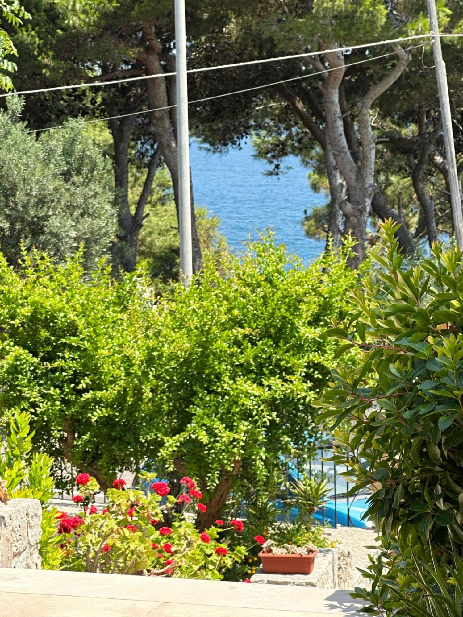 Villetta Dagre Fronte Mare ماريتيما المظهر الخارجي الصورة